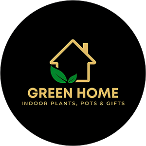 Green Home Coming Soon